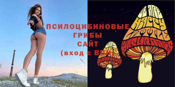 ALPHA-PVP Алексин