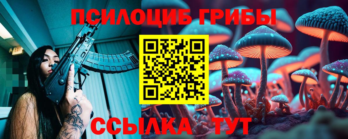где найти   Псилоцибиновые грибы Psilocybine cubensis  Кинель  Вход с VPN  Галлюциногенные грибы прущие грибы 